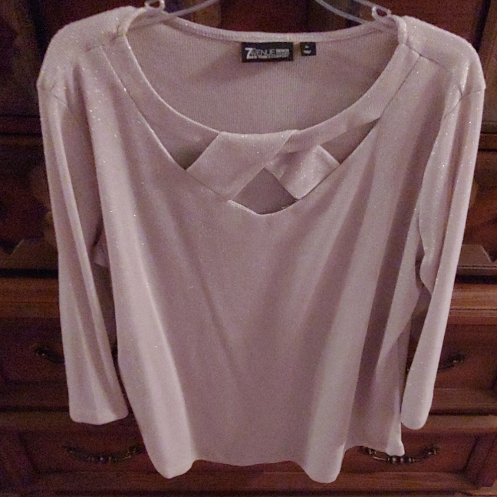 Beautiful NWOT shimmery sweater/top